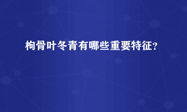 枸骨叶冬青有哪些重要特征？