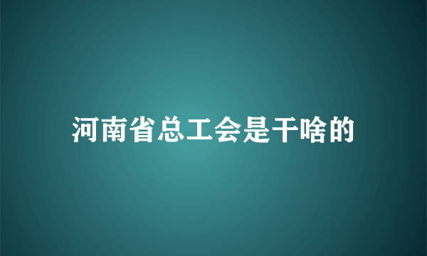 河南省总工会是干啥的