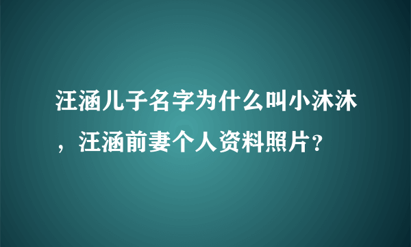 汪涵儿子名字为什么叫小沐沐，汪涵前妻个人资料照片？