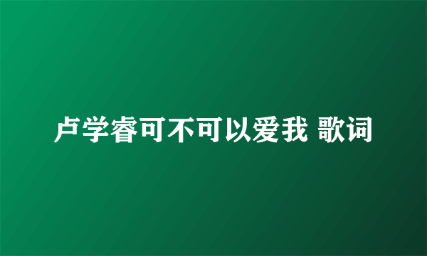 卢学睿可不可以爱我 歌词