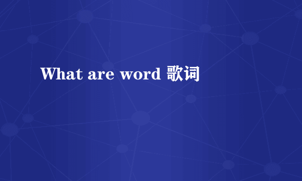 What are word 歌词