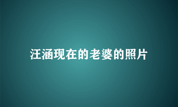 汪涵现在的老婆的照片