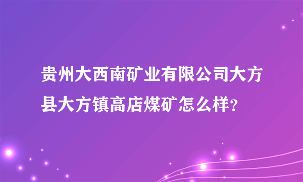 贵州大西南矿业有限公司大方县大方镇高店煤矿怎么样？