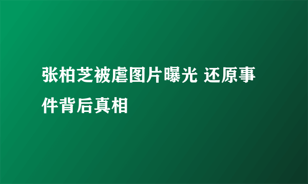 张柏芝被虐图片曝光 还原事件背后真相