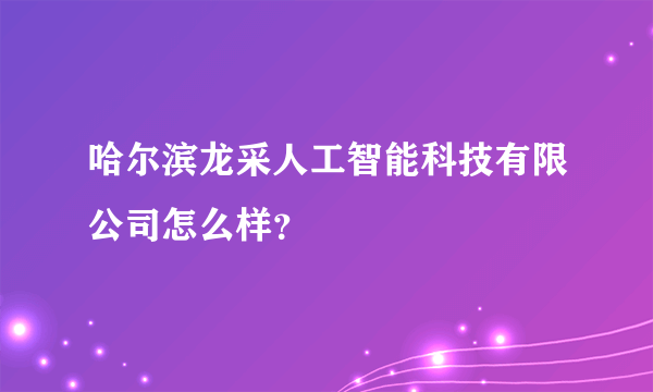 哈尔滨龙采人工智能科技有限公司怎么样？