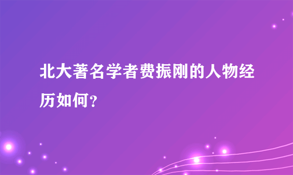 北大著名学者费振刚的人物经历如何？