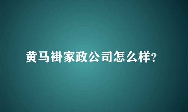 黄马褂家政公司怎么样？