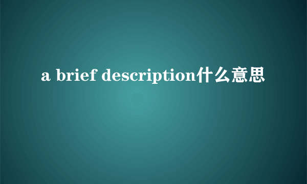 a brief description什么意思