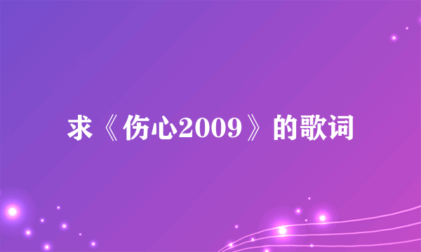 求《伤心2009》的歌词