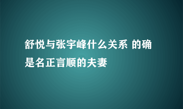 舒悦与张宇峰什么关系 的确是名正言顺的夫妻