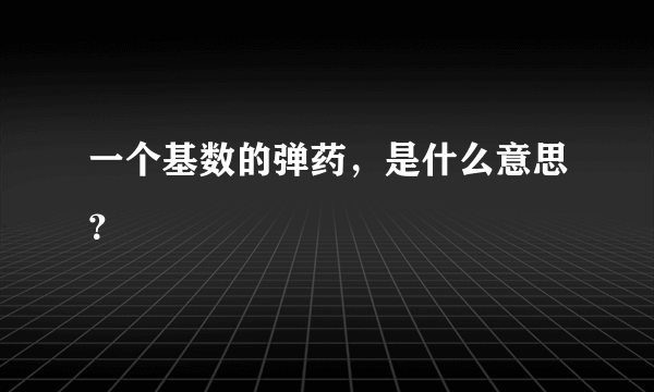 一个基数的弹药，是什么意思？