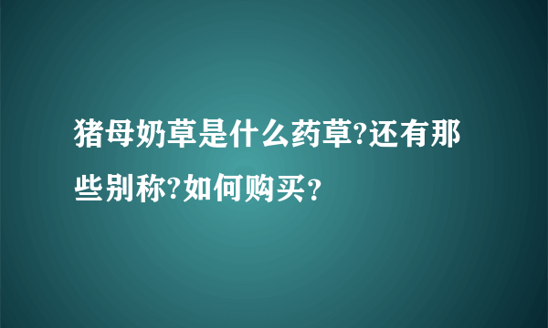 猪母奶草是什么药草?还有那些别称?如何购买？