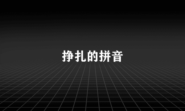 挣扎的拼音