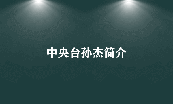 中央台孙杰简介