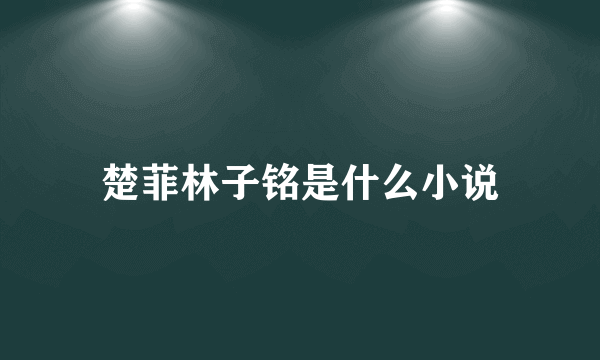 楚菲林子铭是什么小说