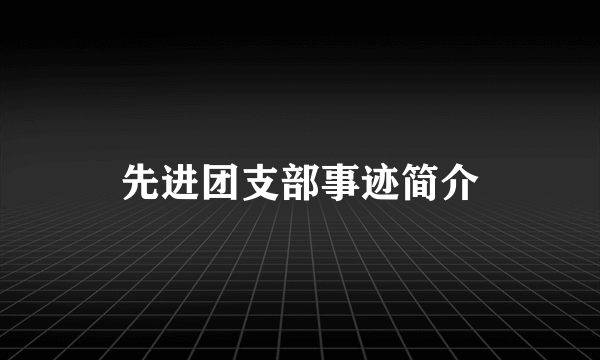 先进团支部事迹简介