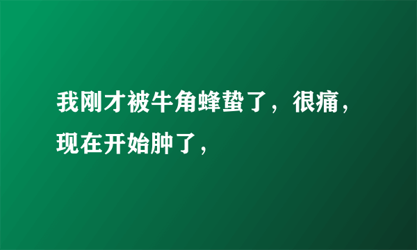 我刚才被牛角蜂蛰了，很痛，现在开始肿了，