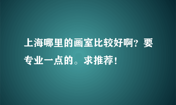 上海哪里的画室比较好啊？要专业一点的。求推荐！