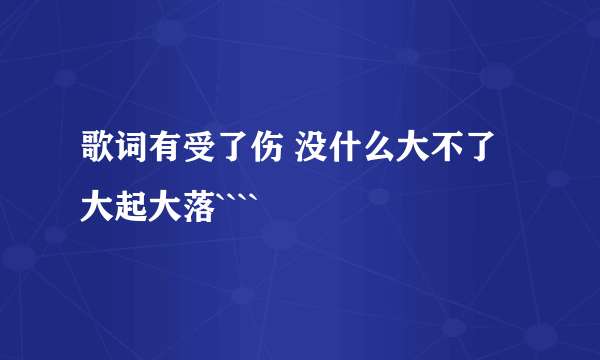 歌词有受了伤 没什么大不了 大起大落````