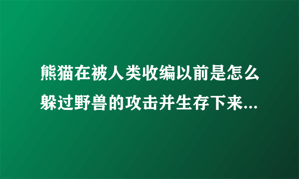 熊猫在被人类收编以前是怎么躲过野兽的攻击并生存下来的，它有什么必杀技吗？