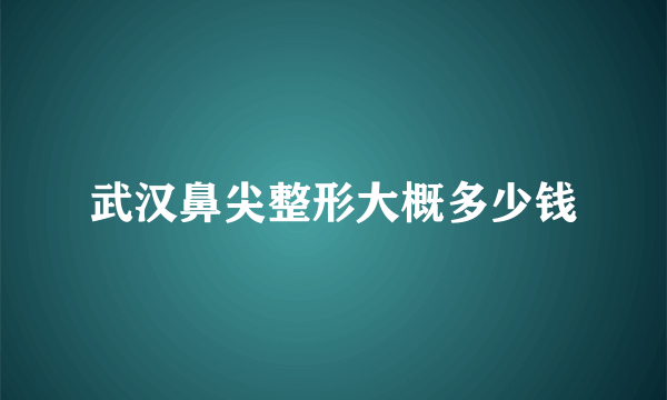 武汉鼻尖整形大概多少钱