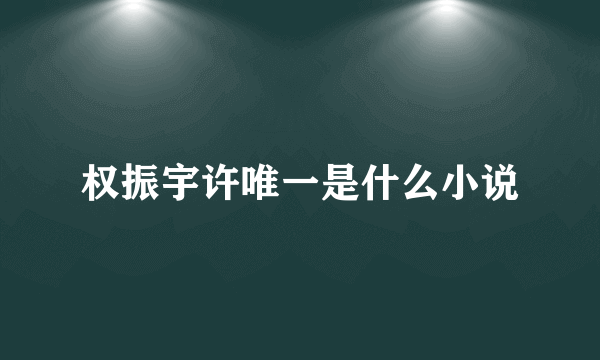 权振宇许唯一是什么小说