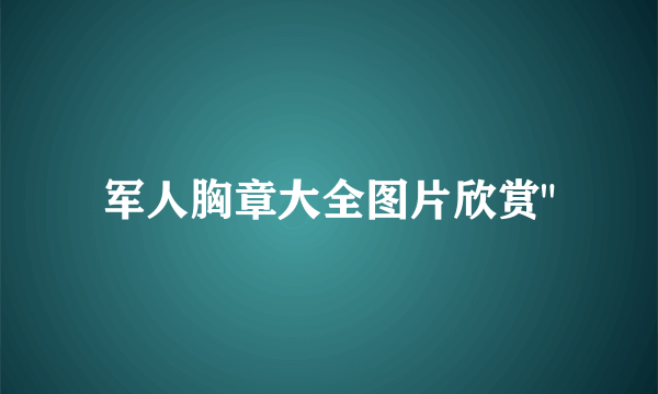 军人胸章大全图片欣赏