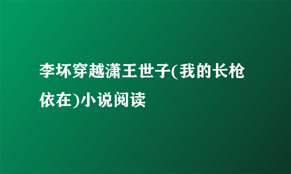 李坏穿越潇王世子(我的长枪依在)小说阅读