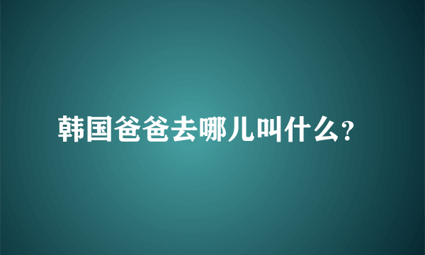 韩国爸爸去哪儿叫什么？