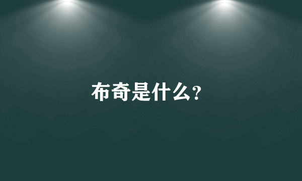 布奇是什么？