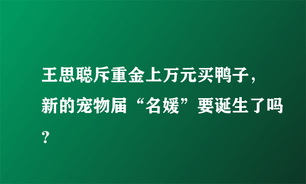 王思聪斥重金上万元买鸭子，新的宠物届“名媛”要诞生了吗？