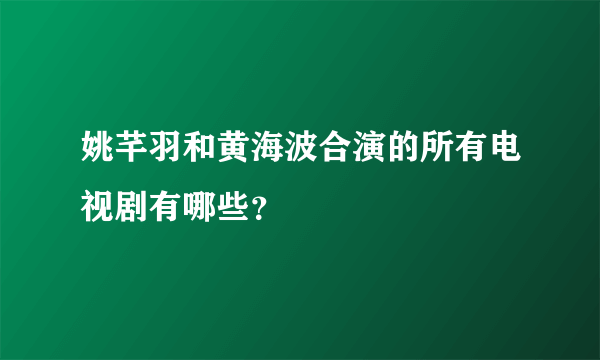 姚芊羽和黄海波合演的所有电视剧有哪些？