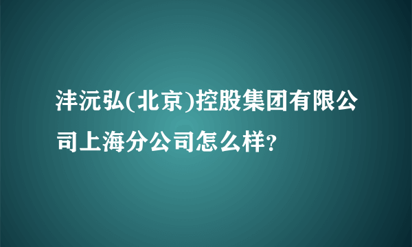 沣沅弘(北京)控股集团有限公司上海分公司怎么样？