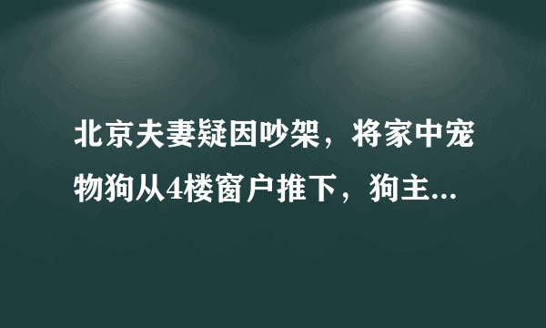 北京夫妻疑因吵架，将家中宠物狗从4楼窗户推下，狗主人会承担法律责任吗