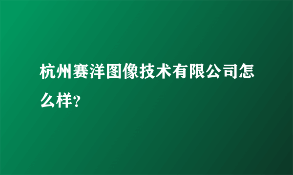 杭州赛洋图像技术有限公司怎么样？