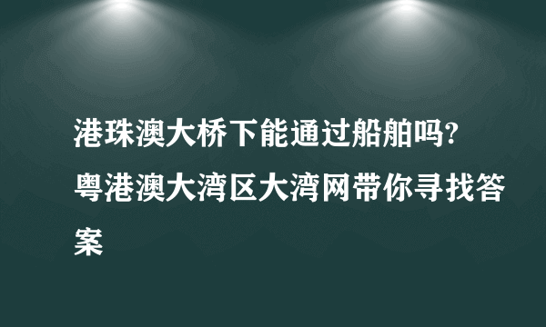 港珠澳大桥下能通过船舶吗?粤港澳大湾区大湾网带你寻找答案