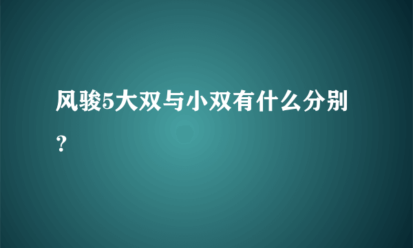 风骏5大双与小双有什么分别？