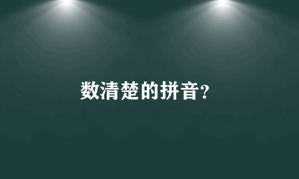 数清楚的拼音？