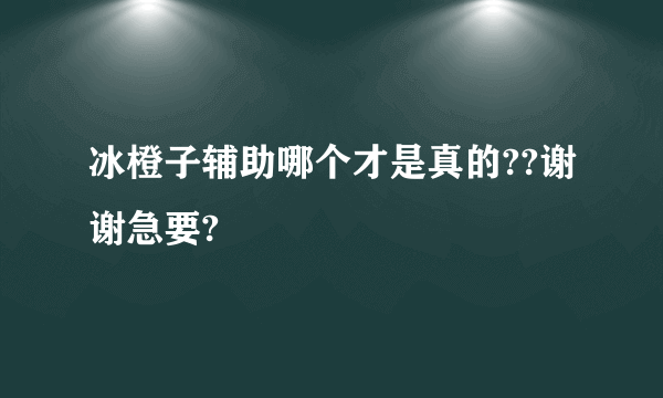 冰橙子辅助哪个才是真的??谢谢急要?