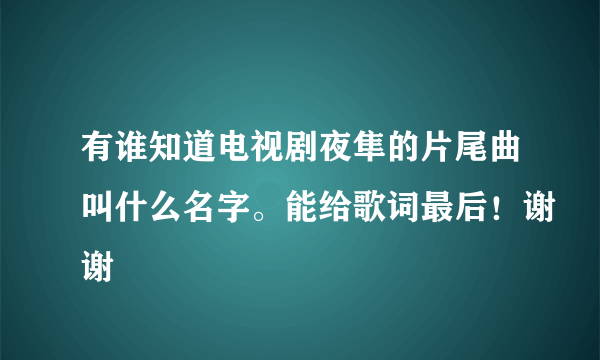 有谁知道电视剧夜隼的片尾曲叫什么名字。能给歌词最后！谢谢