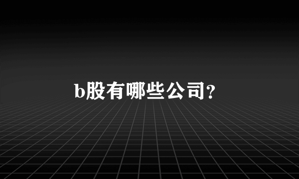 b股有哪些公司？