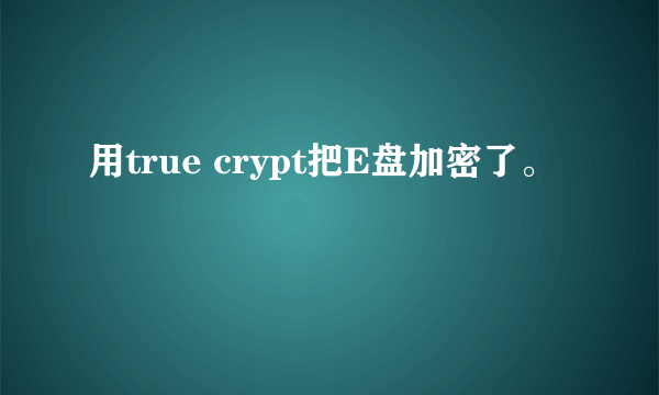 用true crypt把E盘加密了。