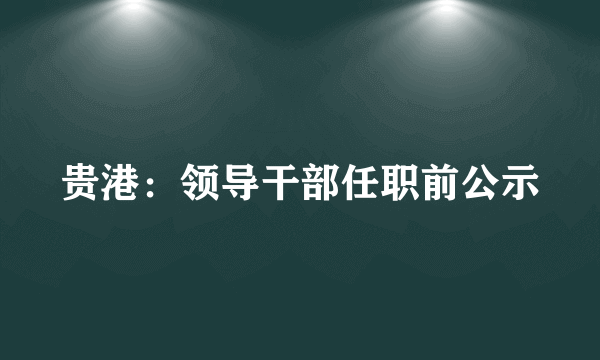 贵港：领导干部任职前公示