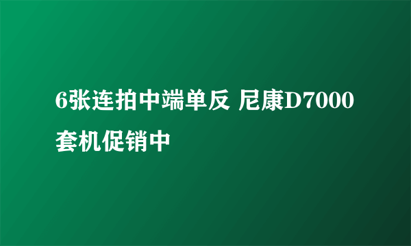 6张连拍中端单反 尼康D7000套机促销中