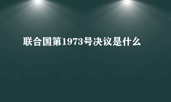 联合国第1973号决议是什么