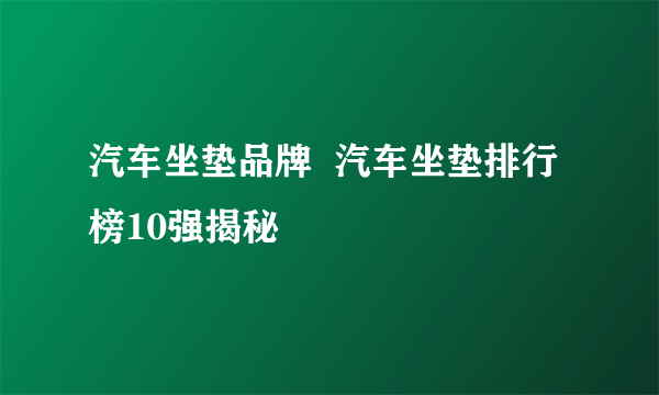 汽车坐垫品牌  汽车坐垫排行榜10强揭秘