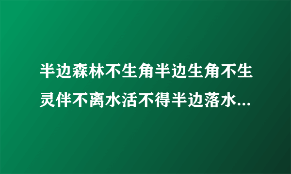 半边森林不生角半边生角不生灵伴不离水活不得半边落水难活命？