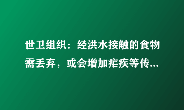 世卫组织：经洪水接触的食物需丢弃，或会增加疟疾等传染疾病的传播