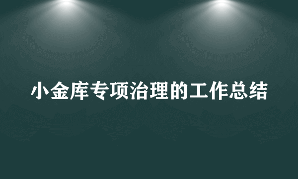 小金库专项治理的工作总结