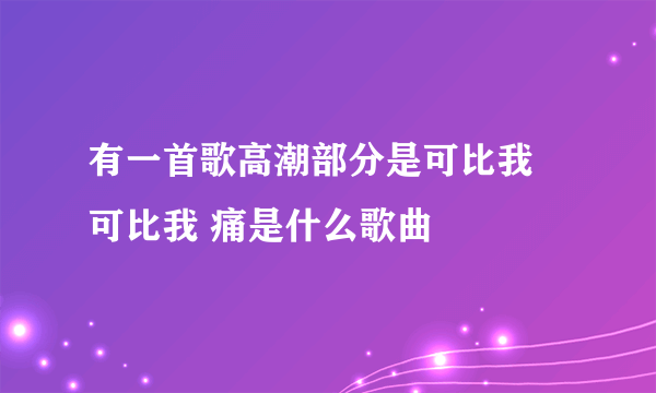 有一首歌高潮部分是可比我 可比我 痛是什么歌曲